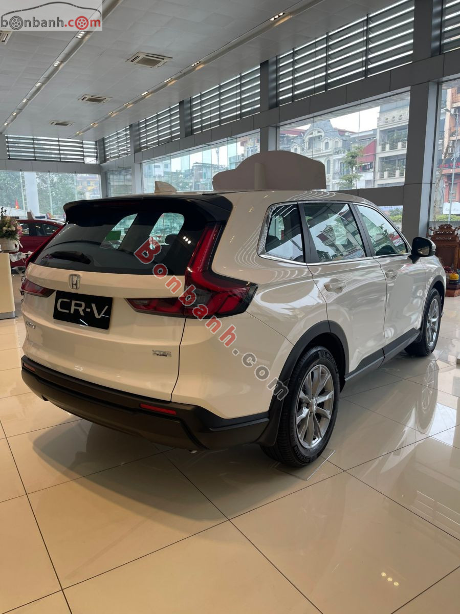 Bán ô tô Honda CRV G - 2026 - xe mới