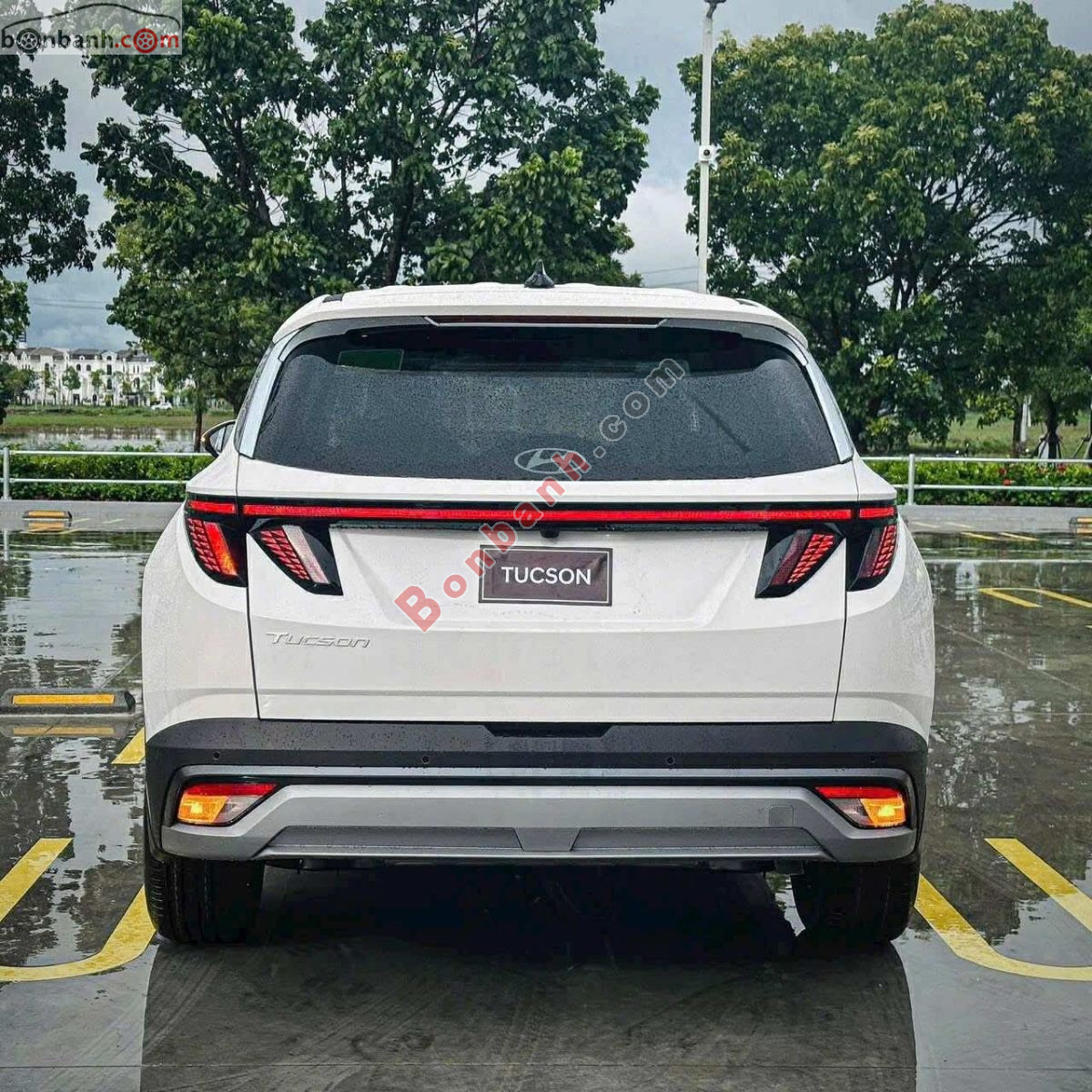 Bán ô tô Hyundai Tucson 2.0 AT Đặc biệt - 2025 - xe mới