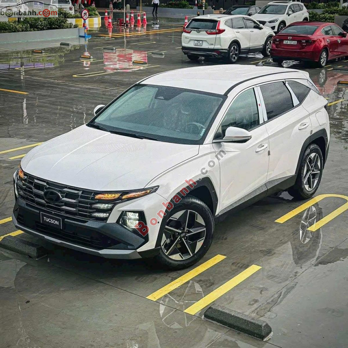 Bán ô tô Hyundai Tucson 2.0 AT Đặc biệt - 2025 - xe mới