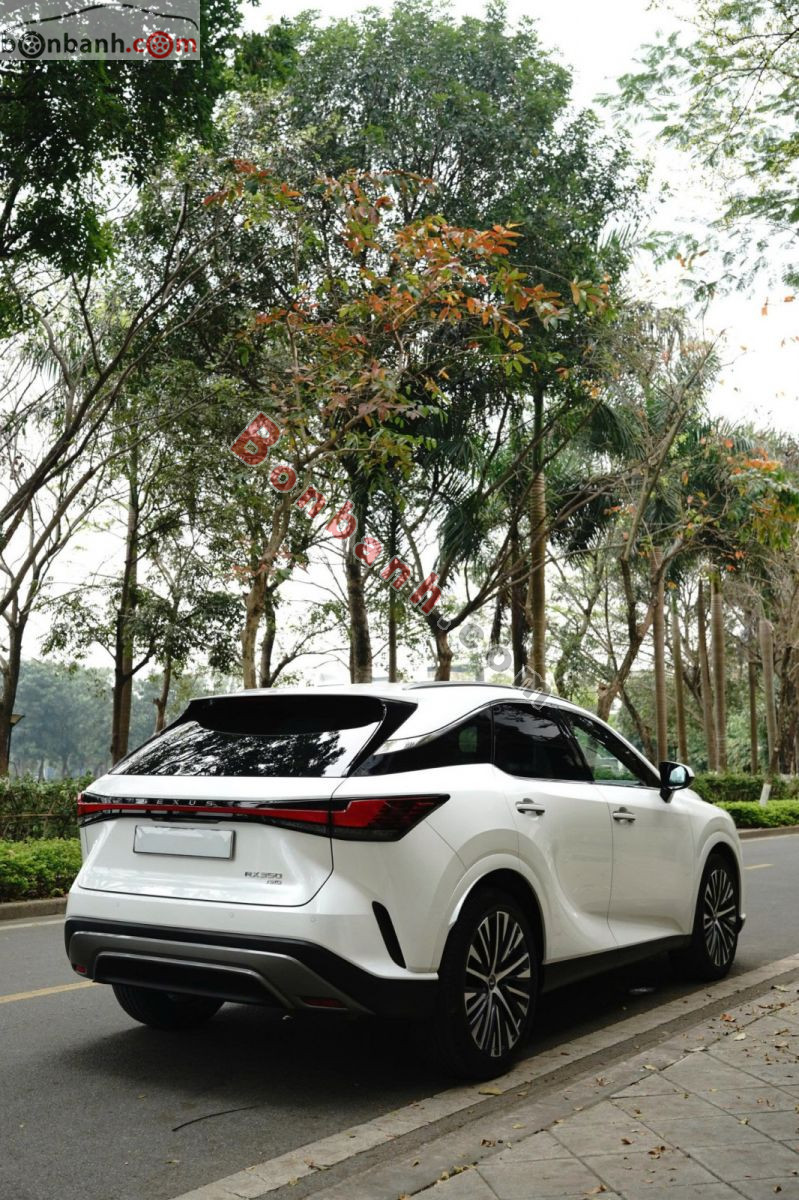 Bán ô tô Lexus RX 350 Premium - 2025 - xe cũ