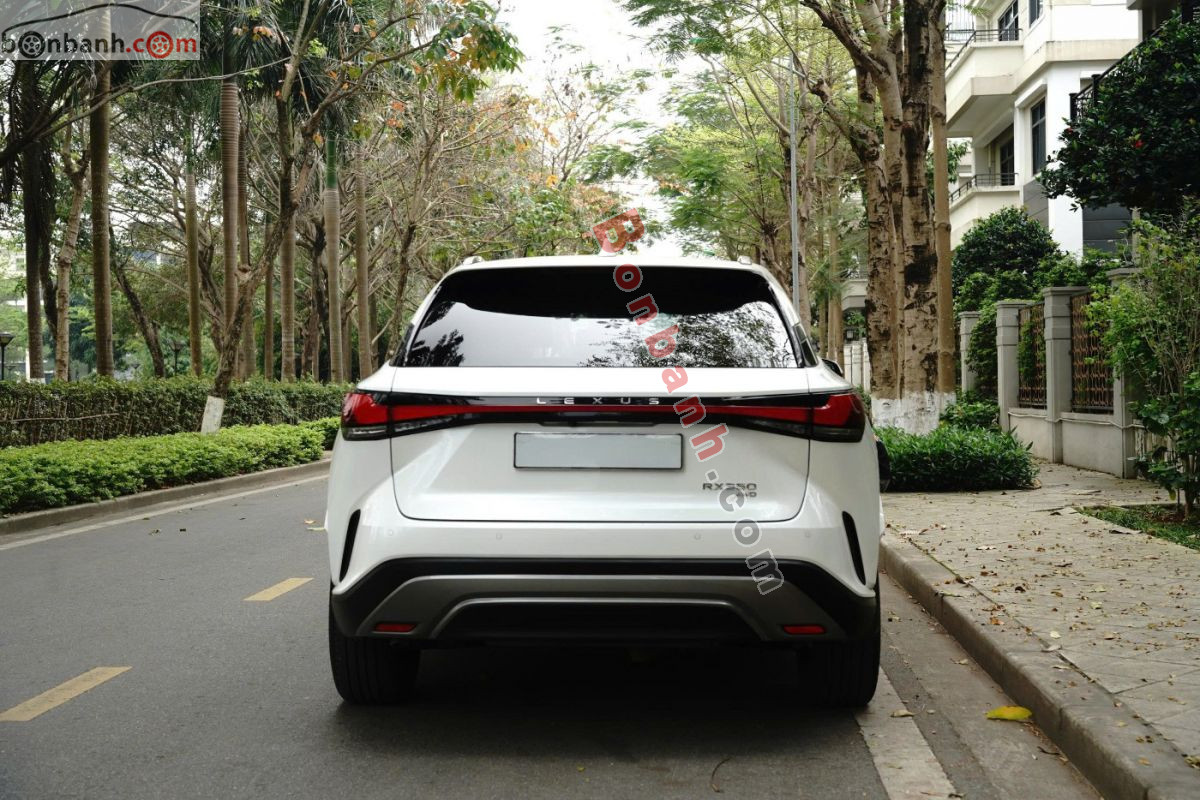Bán ô tô Lexus RX 350 Premium - 2025 - xe cũ