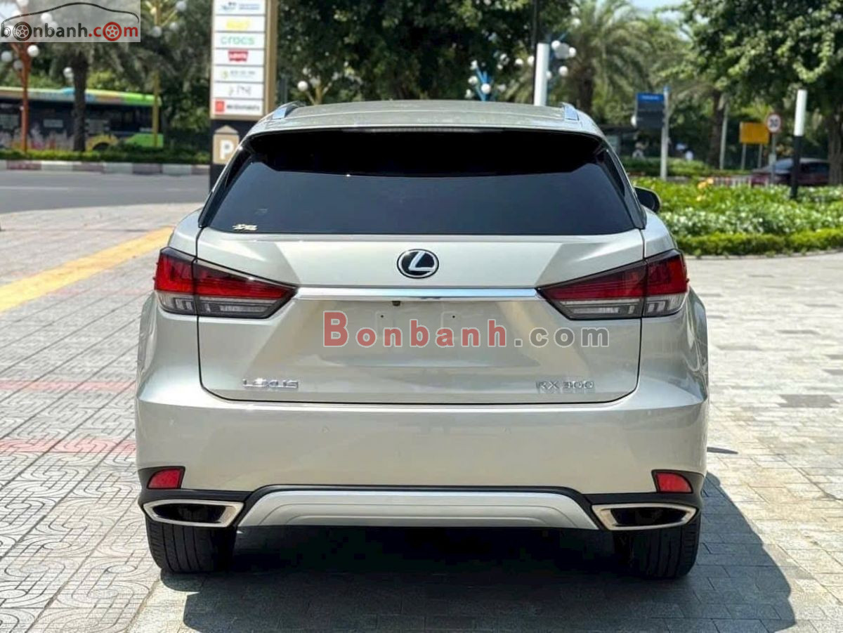 Bán ô tô Lexus RX 300 - 2020 - xe cũ