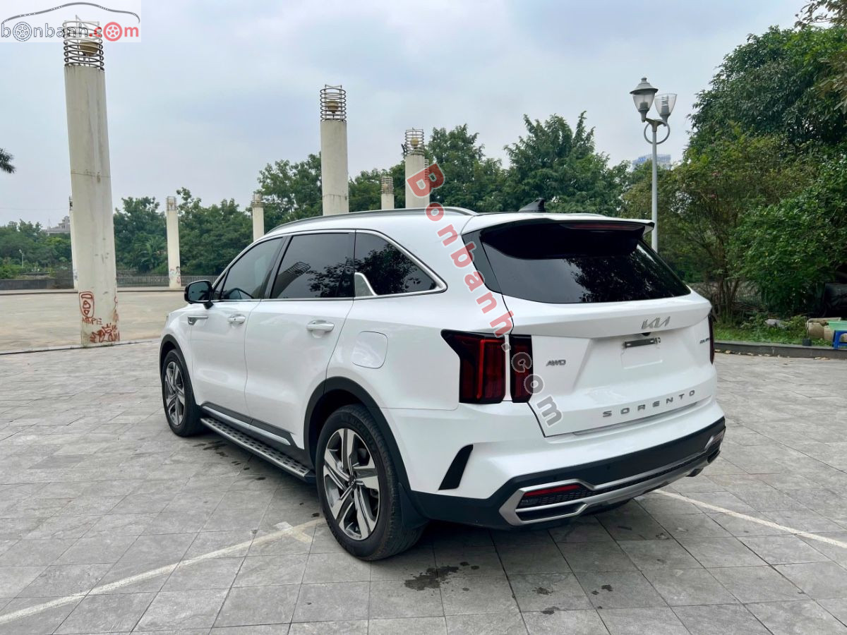 Bán ô tô Kia Sorento Signature 2.5 AT AWD - 2024 - xe cũ