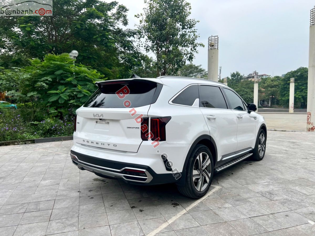 Bán ô tô Kia Sorento Signature 2.5 AT AWD - 2024 - xe cũ