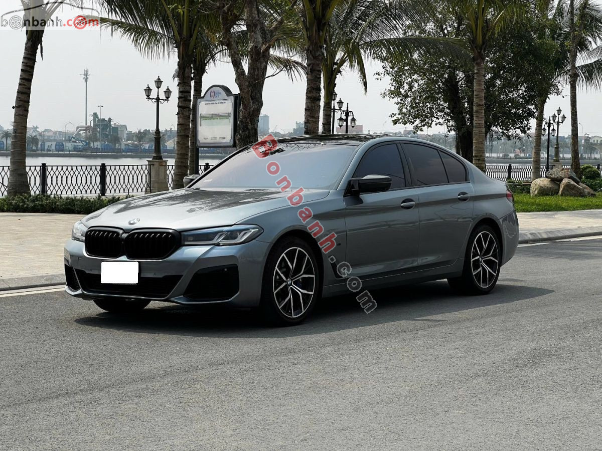 Bán ô tô BMW 5 Series 530i - 2019 - xe cũ
