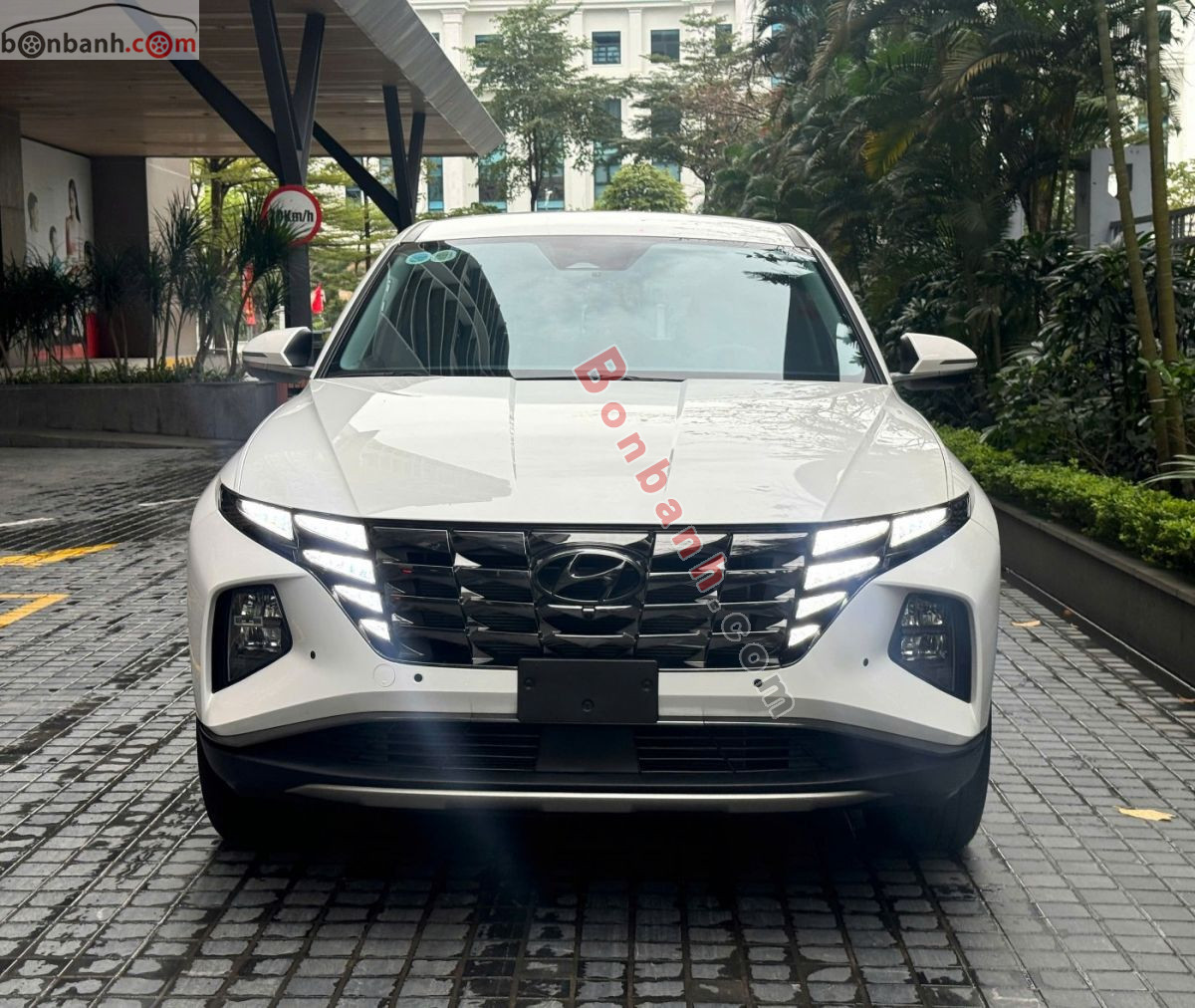 Bán ô tô Hyundai Tucson 2.0 AT Đặc biệt - 2023 - xe cũ