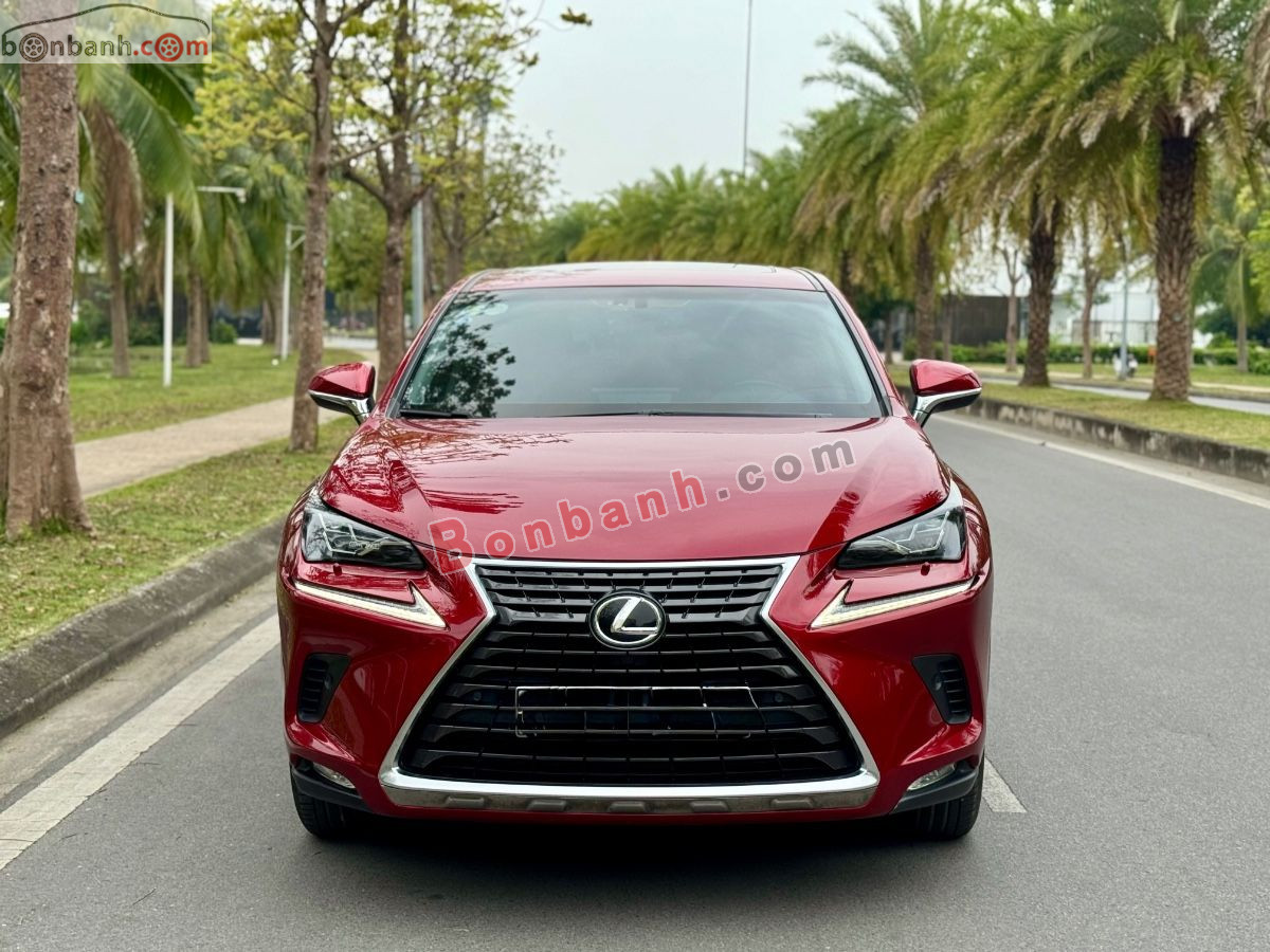 Bán ô tô Lexus NX 300 - 2019 - xe cũ