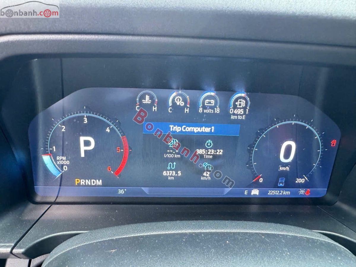 Bán ô tô Ford Ranger Raptor 2.0L 4x4 AT - 2024 - xe cũ