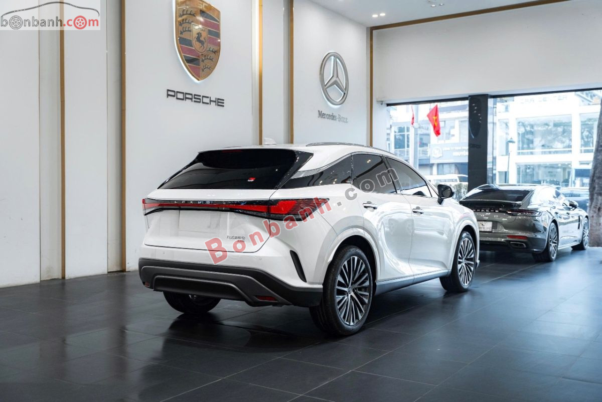 Bán ô tô Lexus RX 350 Premium - 2025 - xe cũ