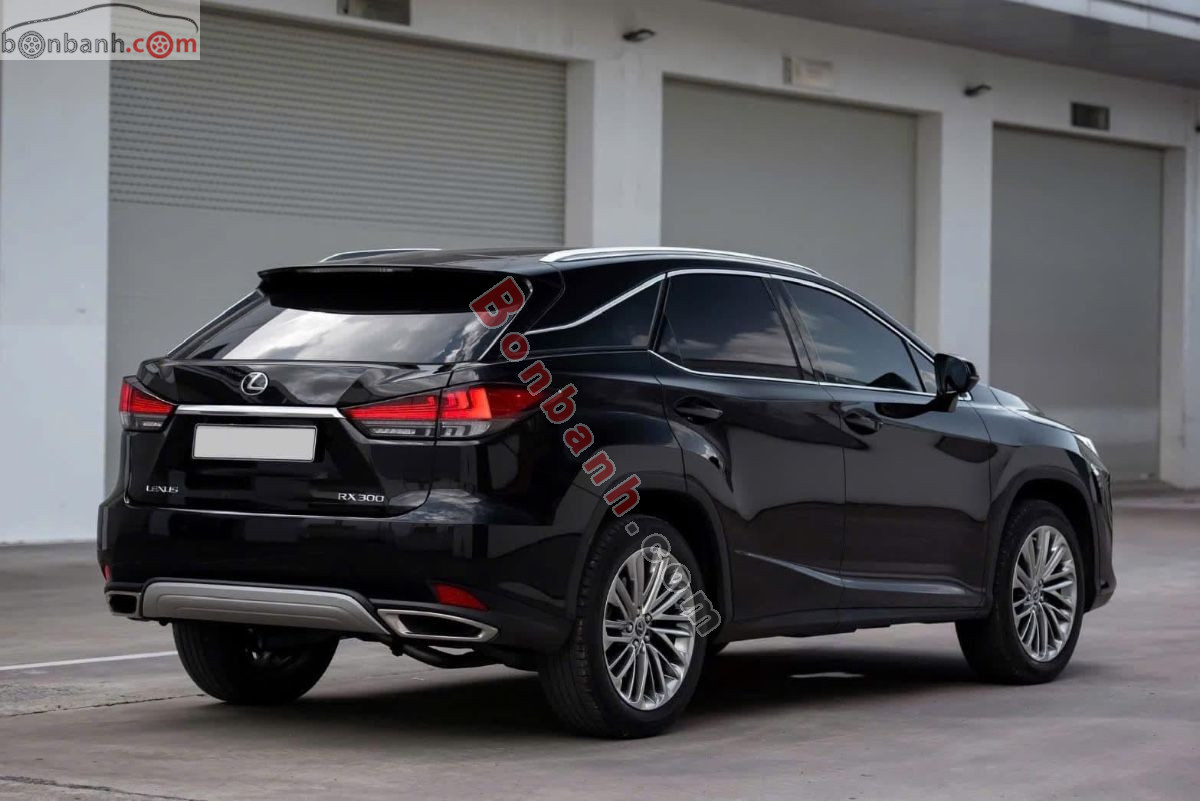 Bán ô tô Lexus RX 300 - 2019 - xe cũ