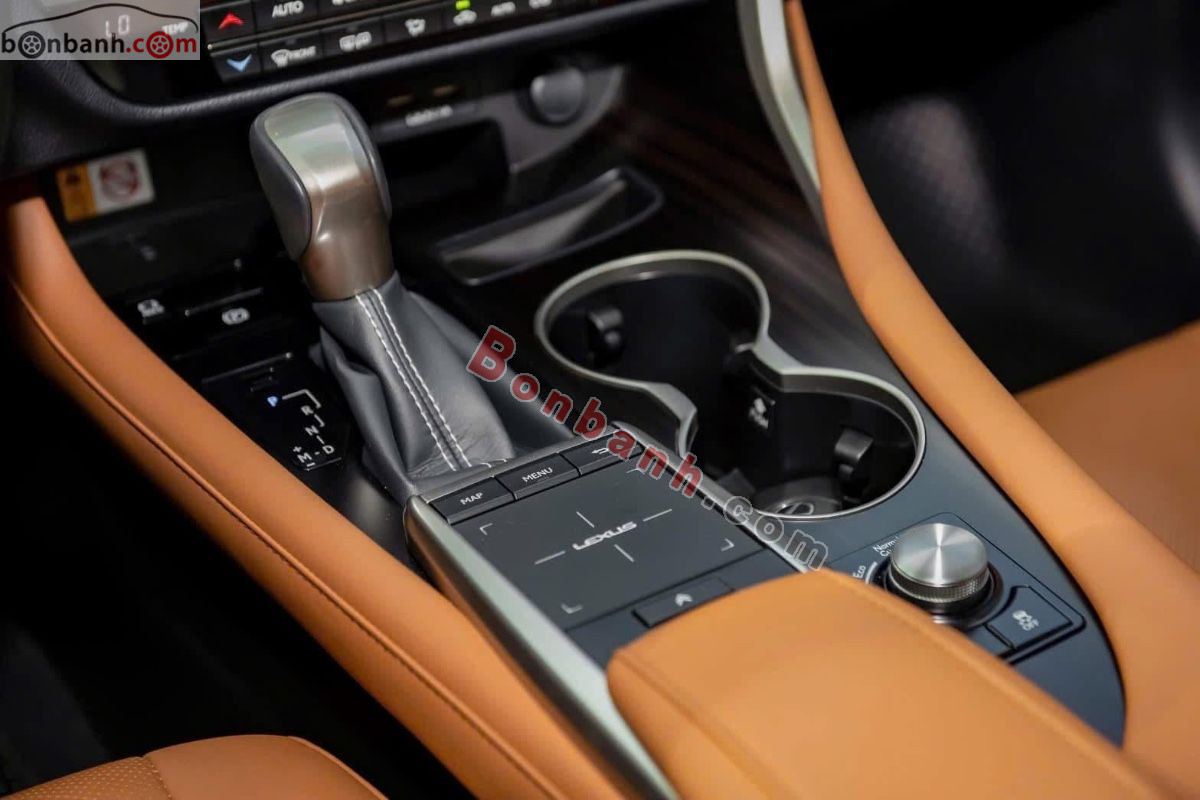 Bán ô tô Lexus RX 300 - 2019 - xe cũ