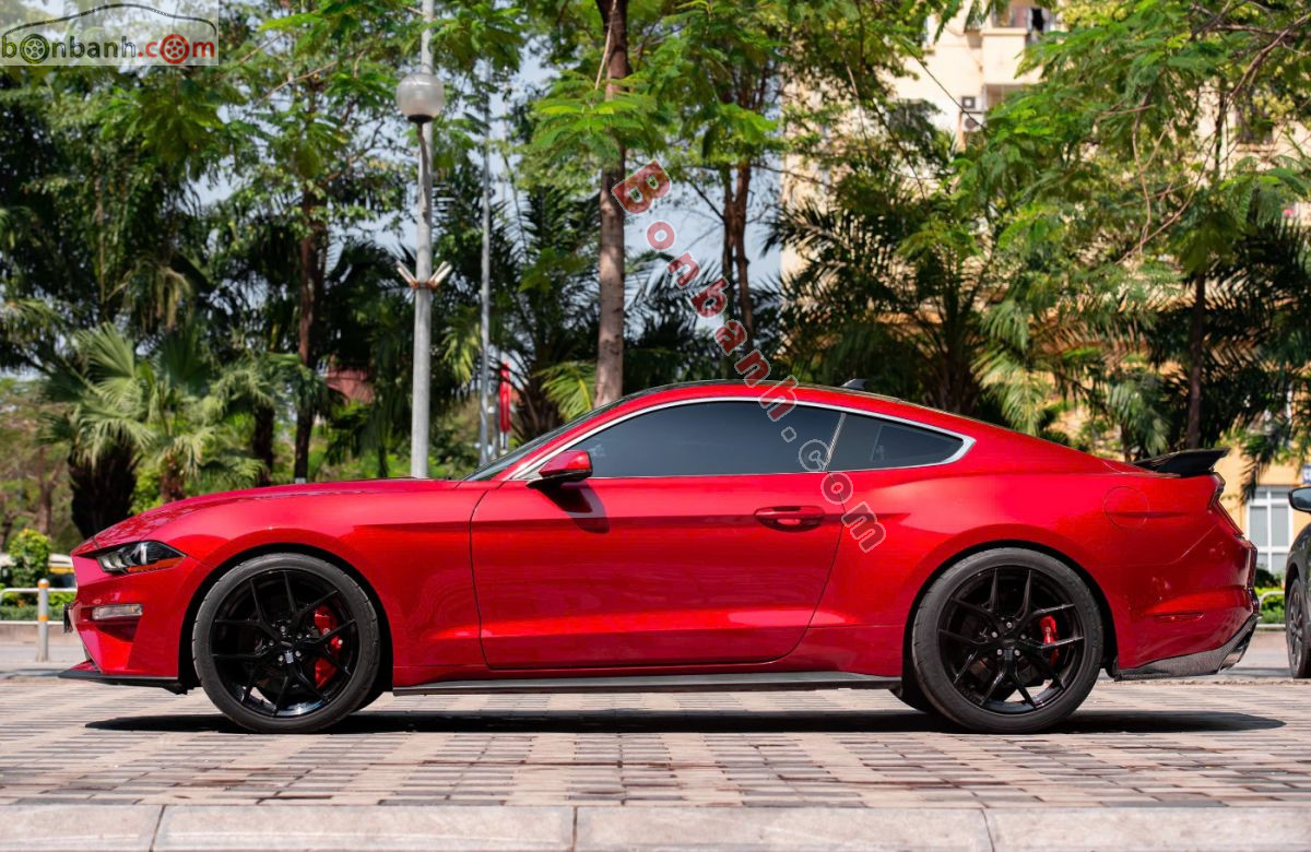Bán ô tô Ford Mustang 2.3 EcoBoost Fastback - 2019 - xe cũ