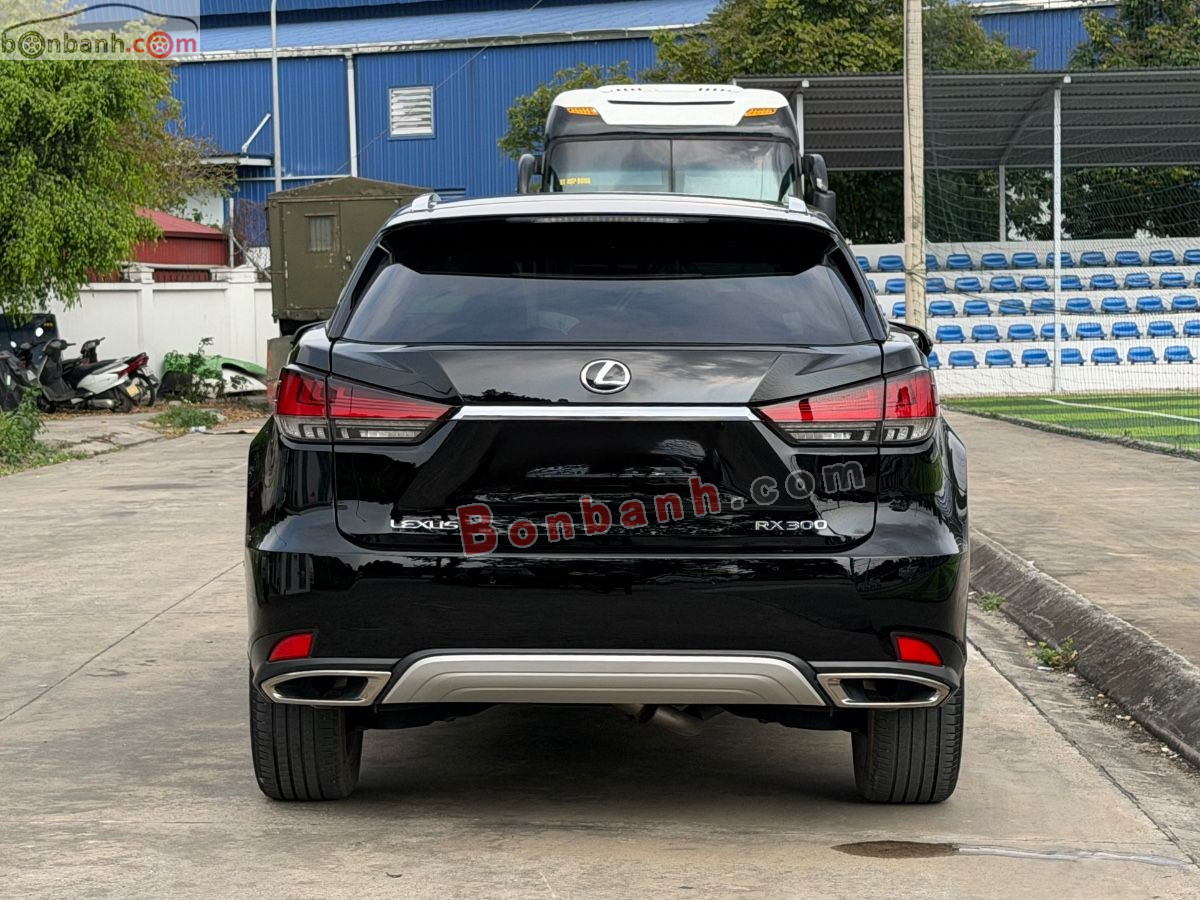 Bán ô tô Lexus RX 300 - 2019 - xe cũ