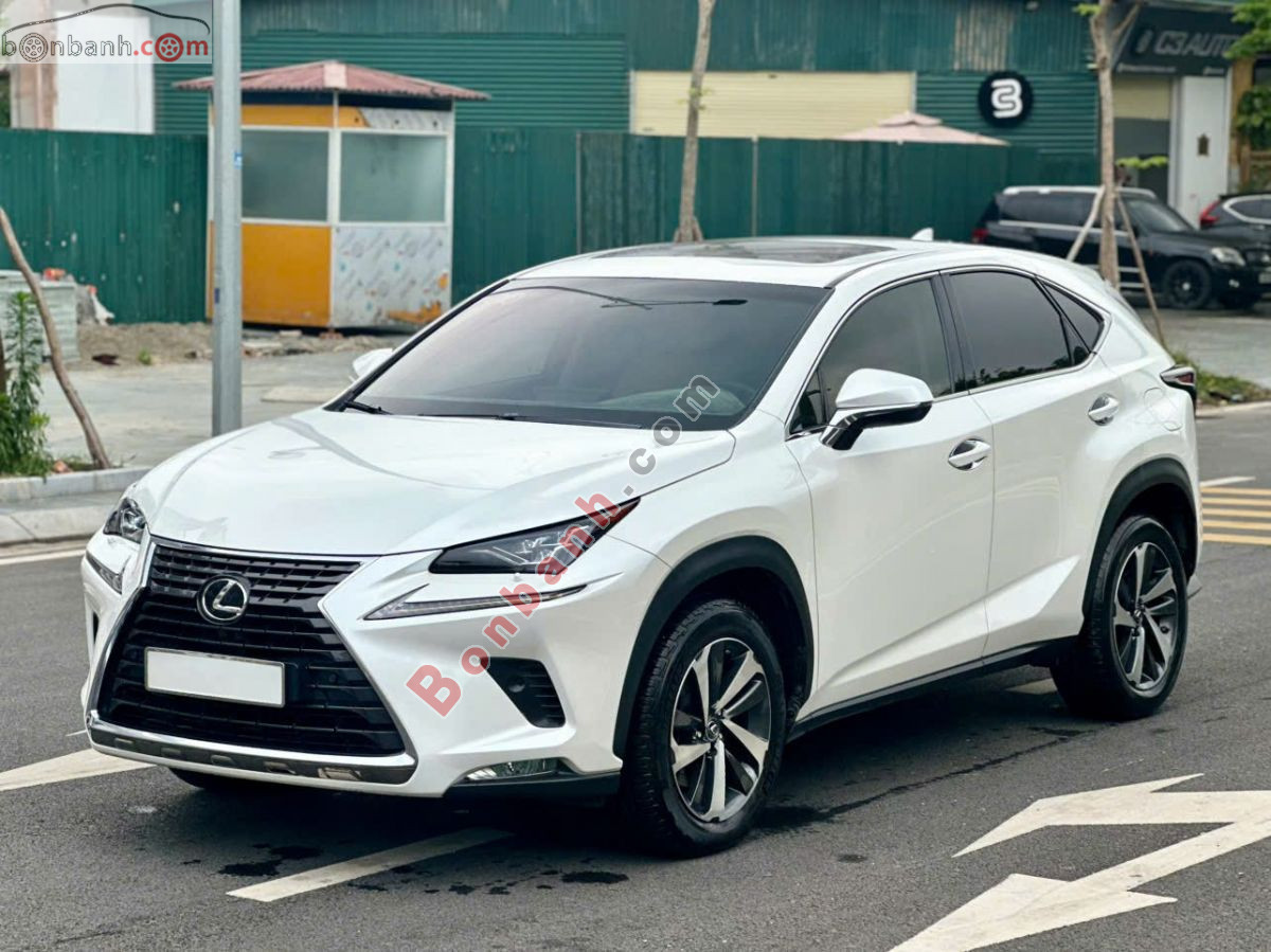 Bán ô tô Lexus NX 300 - 2018 - xe cũ