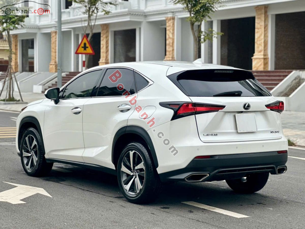 Bán ô tô Lexus NX 300 - 2018 - xe cũ