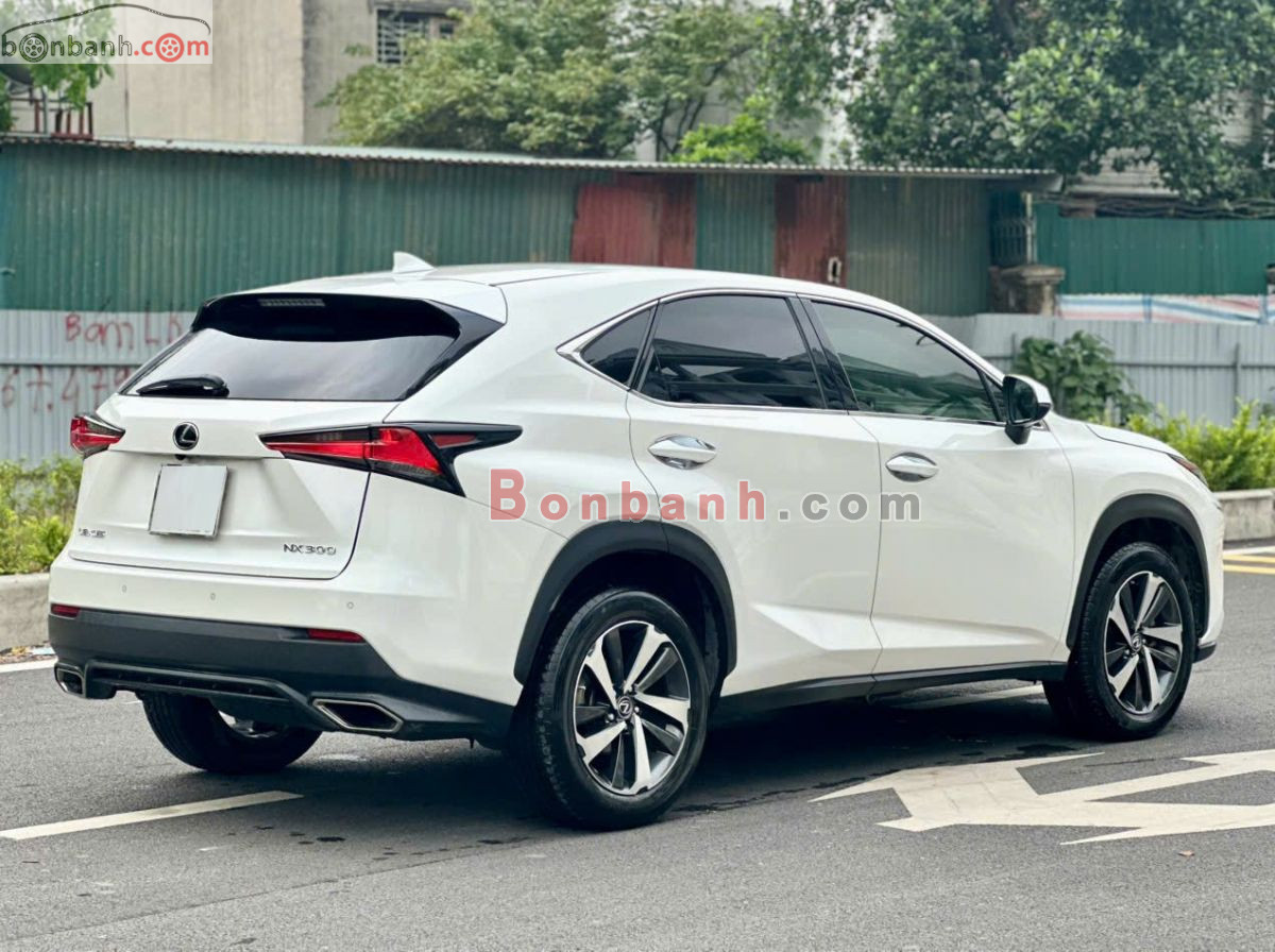 Bán ô tô Lexus NX 300 - 2018 - xe cũ