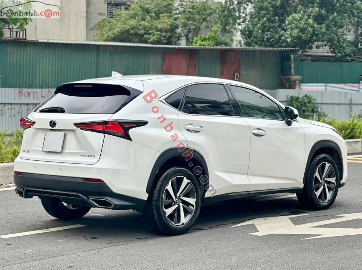 Bán ô tô Lexus NX 300 - 2018 - xe cũ