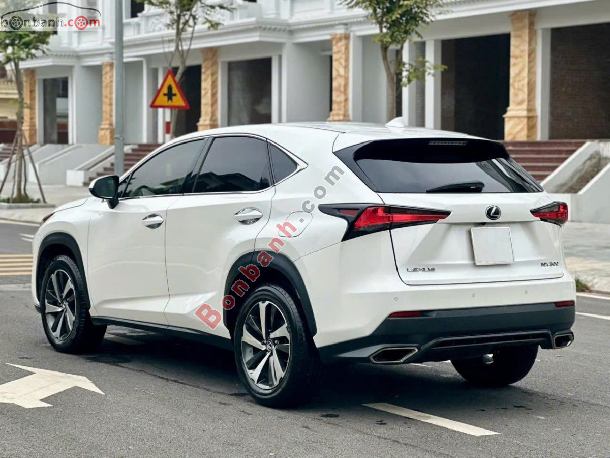 Bán ô tô Lexus NX 300 - 2018 - xe cũ