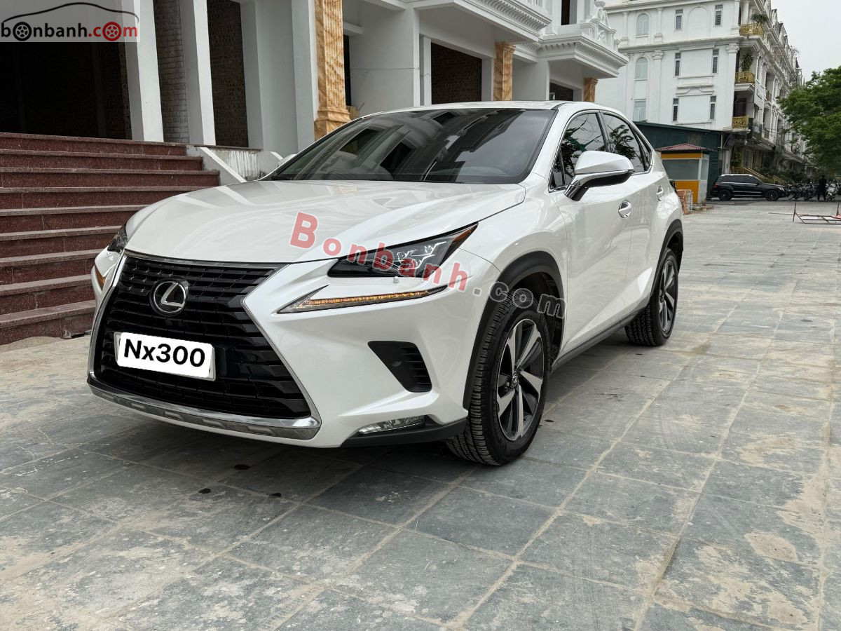 Bán ô tô Lexus NX - 2018 - xe cũ