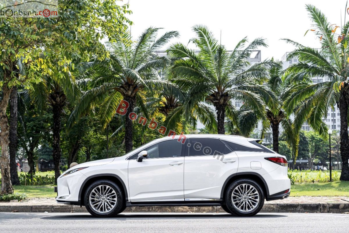 Bán ô tô Lexus RX 300 - 2020 - xe cũ