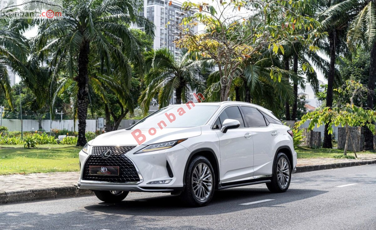 Bán ô tô Lexus RX 300 - 2020 - xe cũ