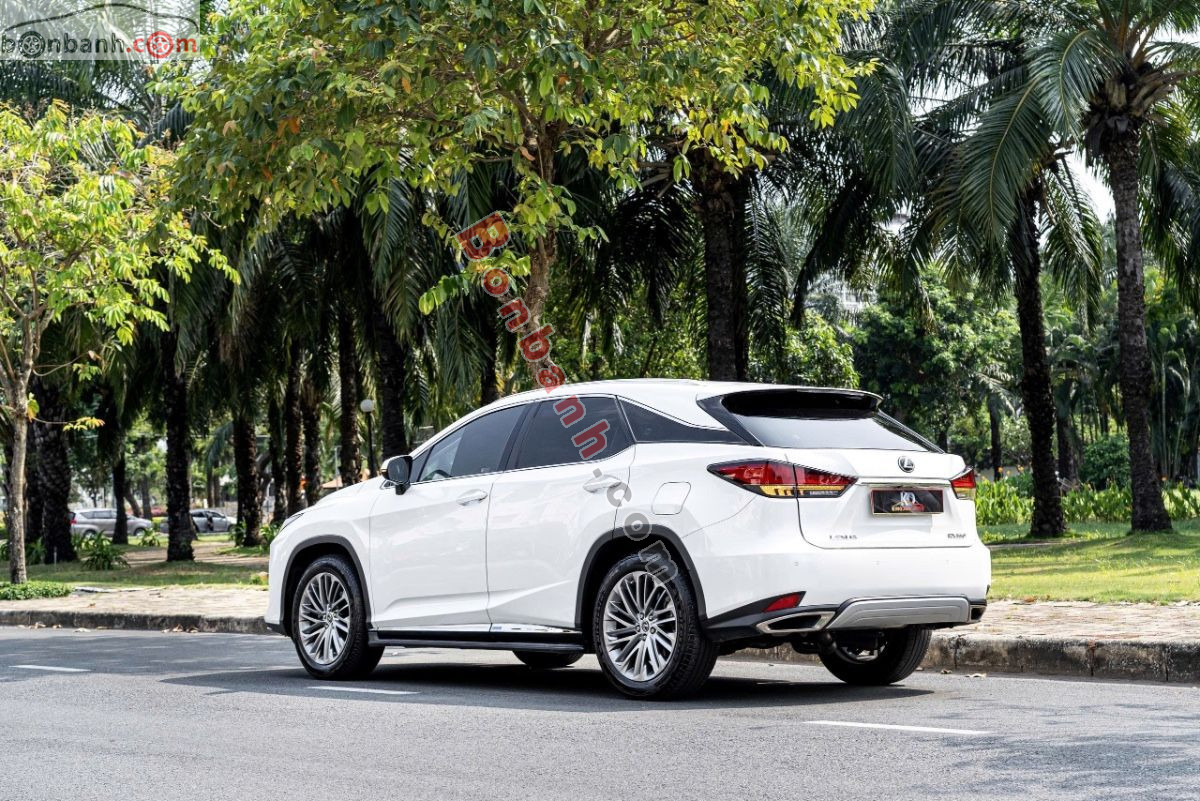 Bán ô tô Lexus RX 300 - 2020 - xe cũ