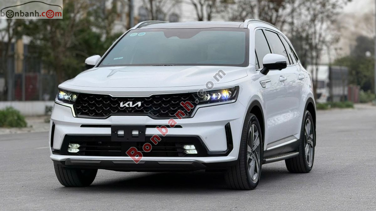 Bán ô tô Kia Sorento Signature 2.5 AT AWD - 2024 - xe cũ