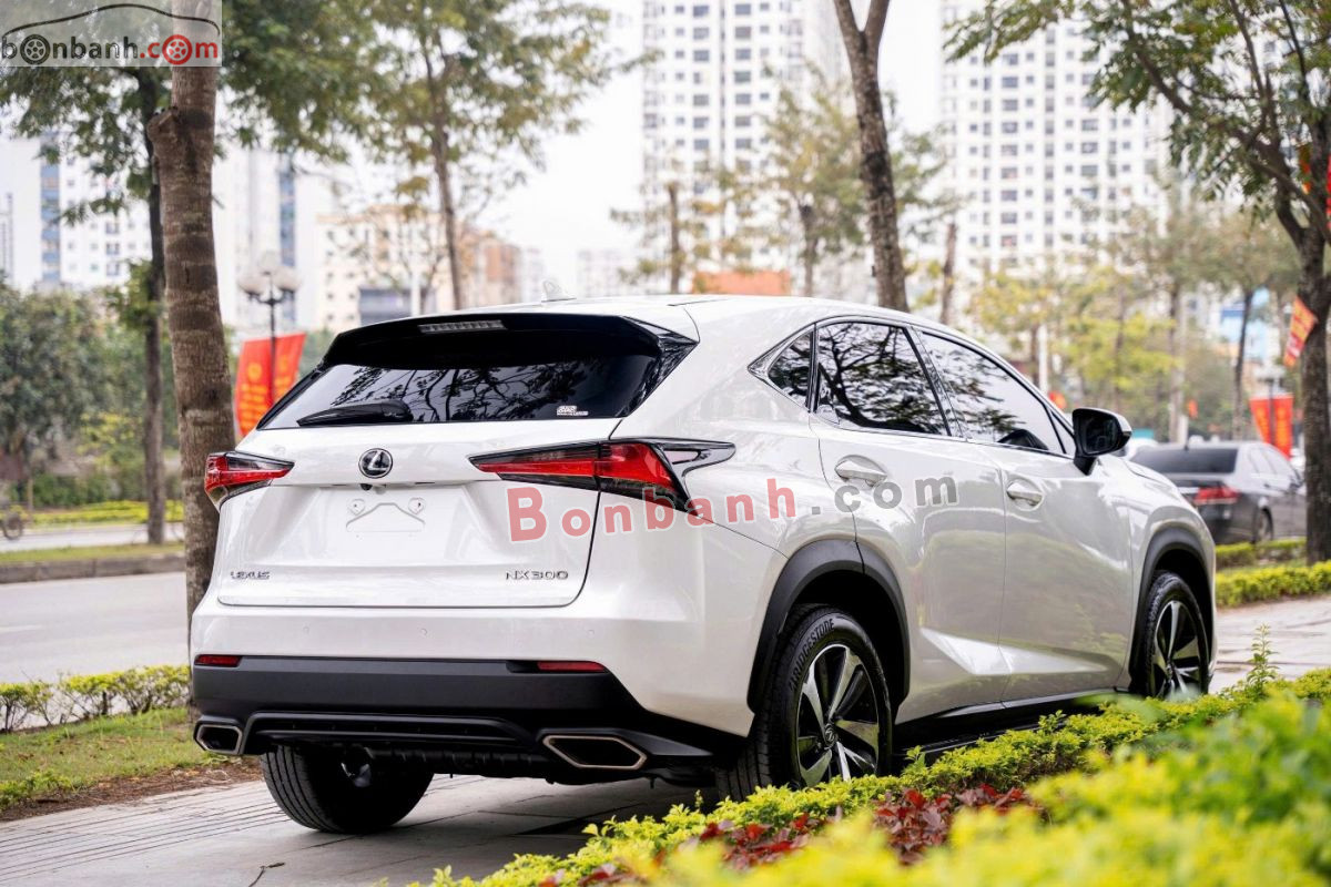 Bán ô tô Lexus NX 300 - 2018 - xe cũ
