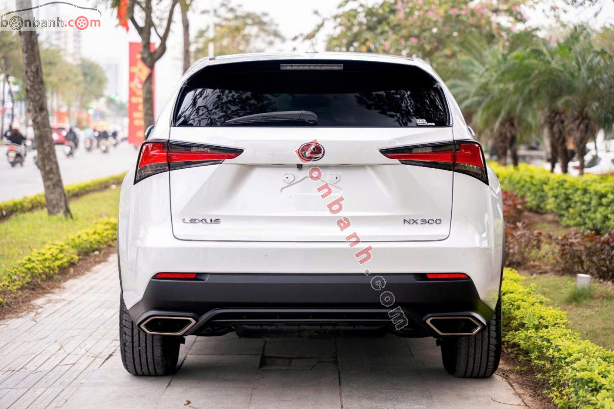 Bán ô tô Lexus NX 300 - 2018 - xe cũ