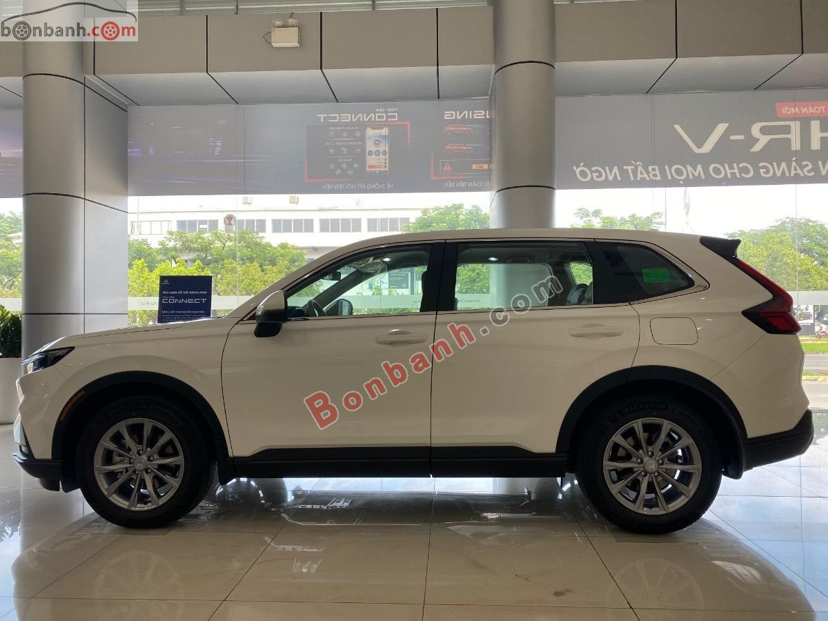 Bán ô tô Honda CRV G - 2026 - xe mới