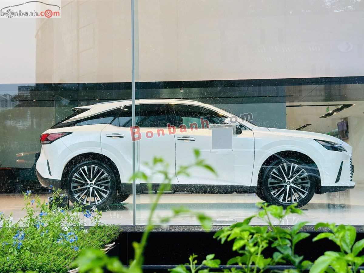 Bán ô tô Lexus RX 350h Premium - 2026 - xe mới