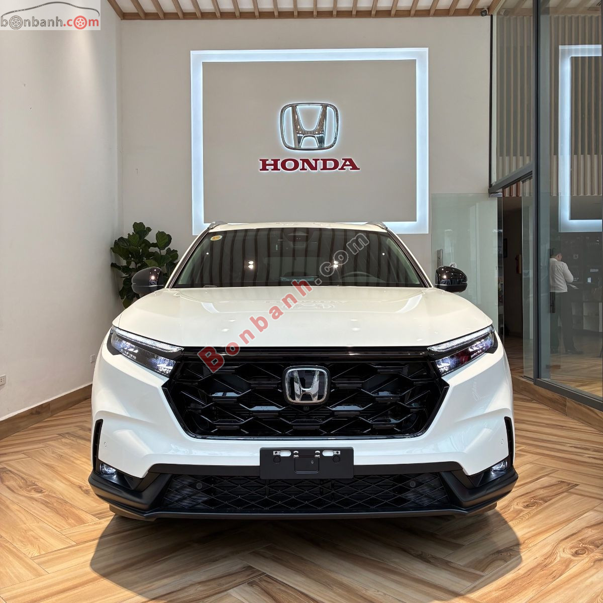 Bán ô tô Honda CRV e:HEV L - 2026 - xe mới