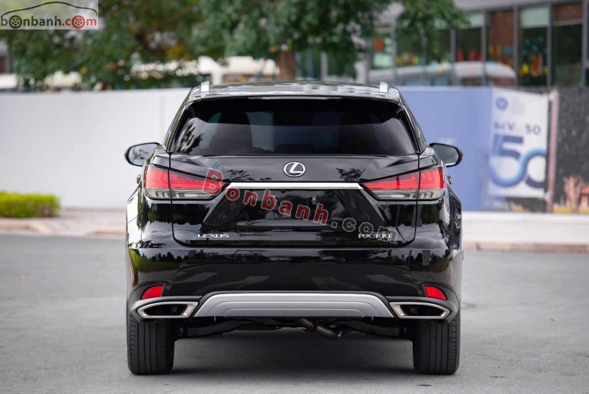 Bán ô tô Lexus RX 300 - 2019 - xe cũ