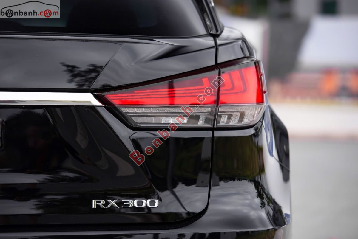 Bán ô tô Lexus RX 300 - 2019 - xe cũ