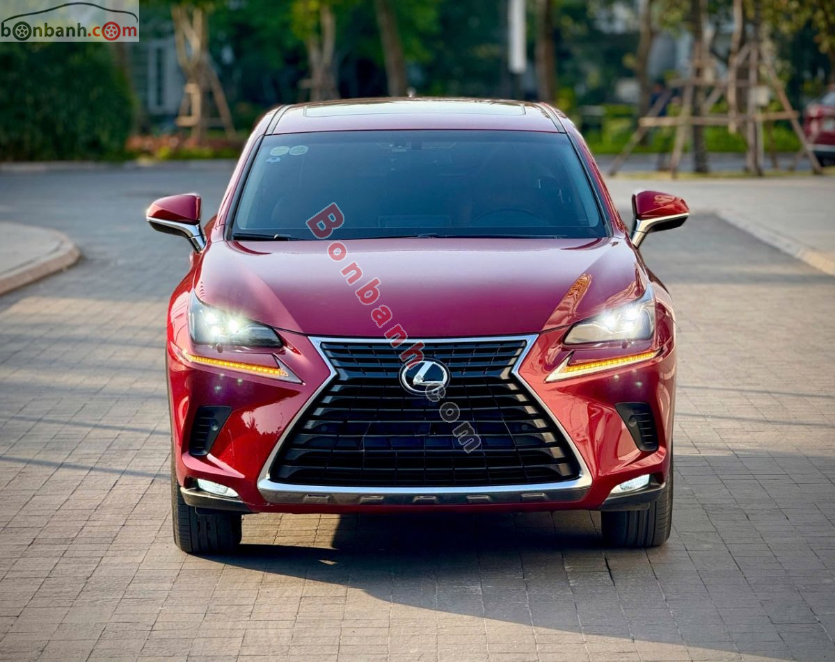 Bán ô tô Lexus NX 300 - 2019 - xe cũ