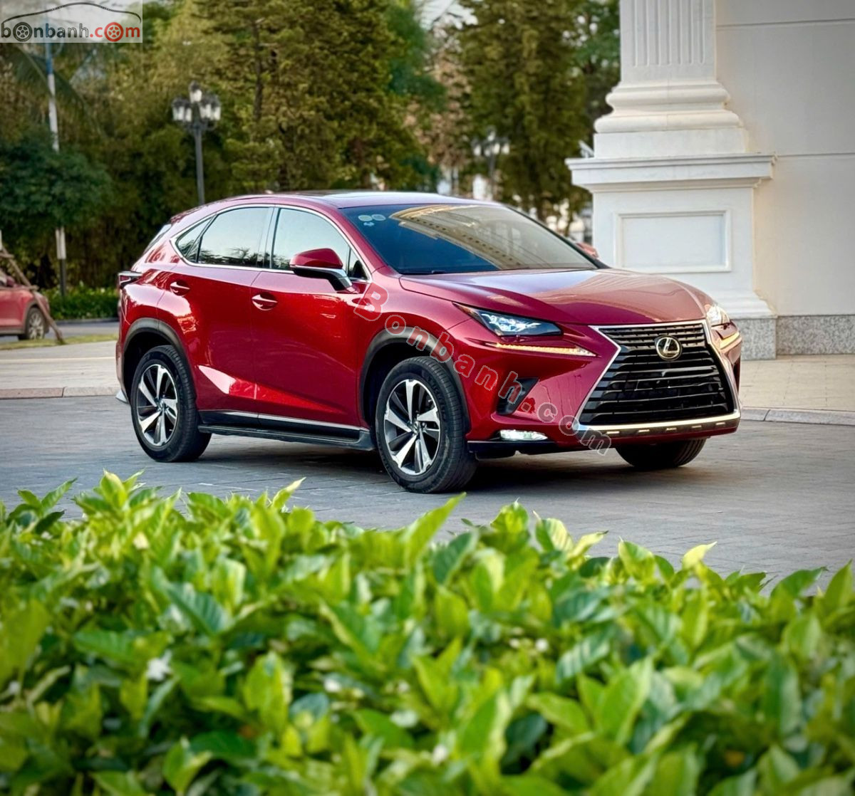 Bán ô tô Lexus NX 300 - 2019 - xe cũ