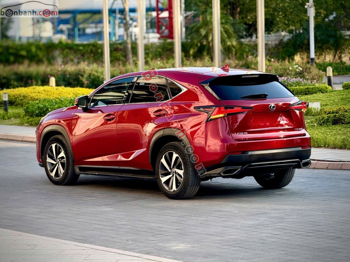 Bán ô tô Lexus NX 300 - 2019 - xe cũ