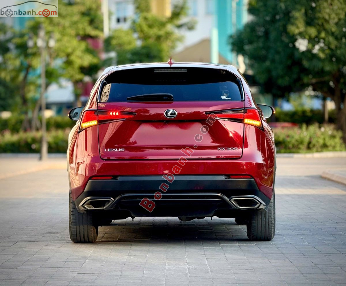 Bán ô tô Lexus NX 300 - 2019 - xe cũ