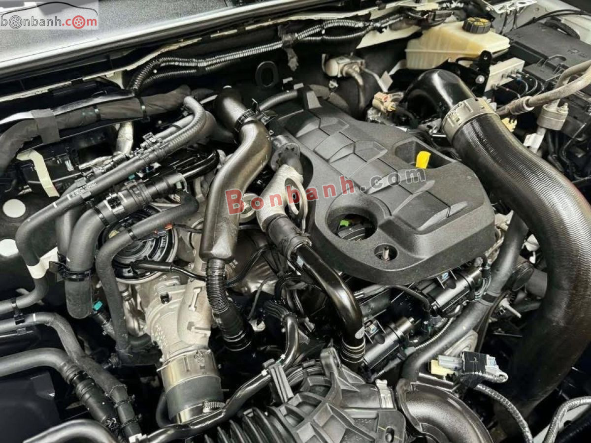 Bán ô tô Ford Ranger Wildtrak 2.0L 4x4 AT - 2023 - xe cũ