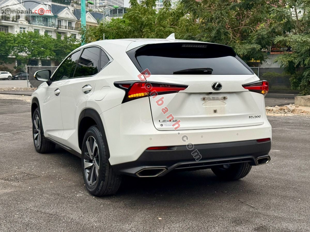 Bán ô tô Lexus NX 300 - 2018 - xe cũ