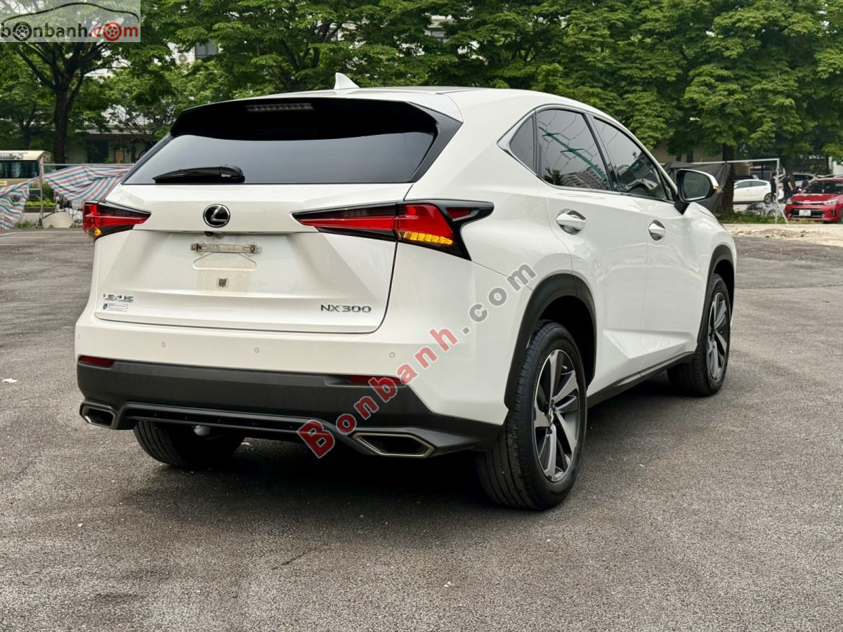 Bán ô tô Lexus NX 300 - 2018 - xe cũ