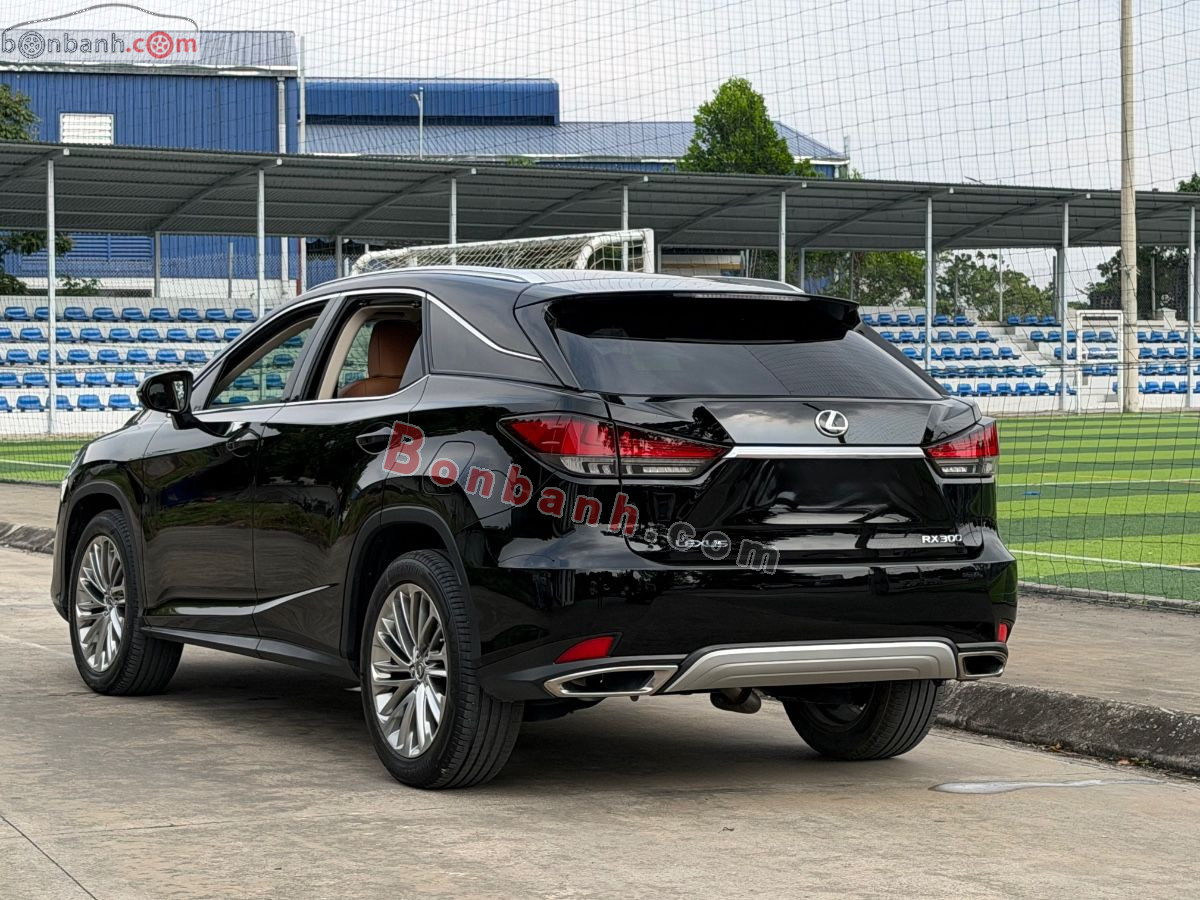 Bán ô tô Lexus RX 300 - 2019 - xe cũ