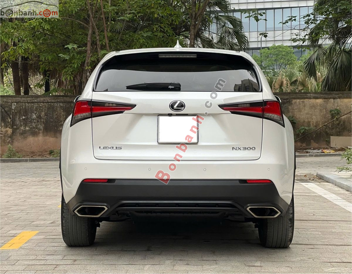 Bán ô tô Lexus NX 300 - 2018 - xe cũ