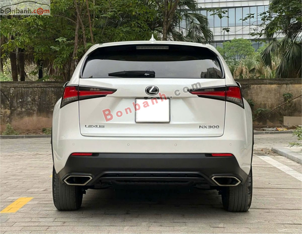 Bán ô tô Lexus NX 300 - 2017 - xe cũ