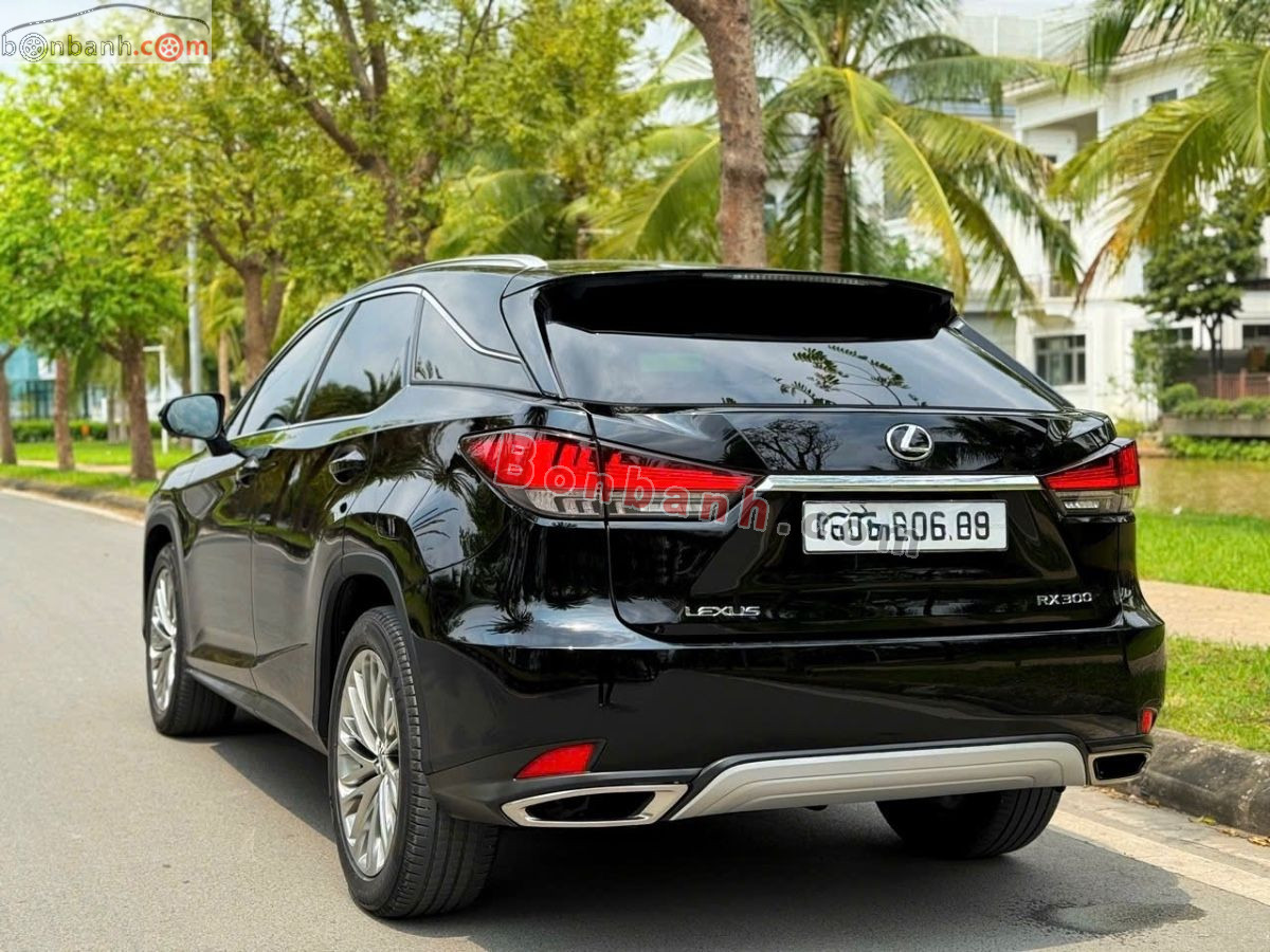 Bán ô tô Lexus RX 300 - 2019 - xe cũ