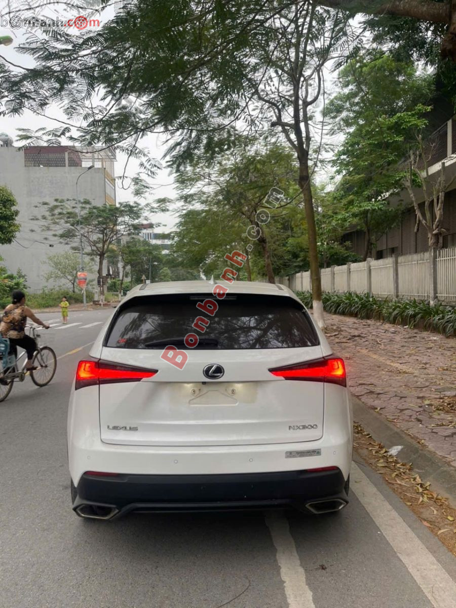Bán ô tô Lexus NX 300 - 2019 - xe cũ