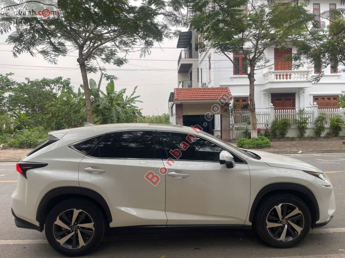 Bán ô tô Lexus NX 300 - 2019 - xe cũ