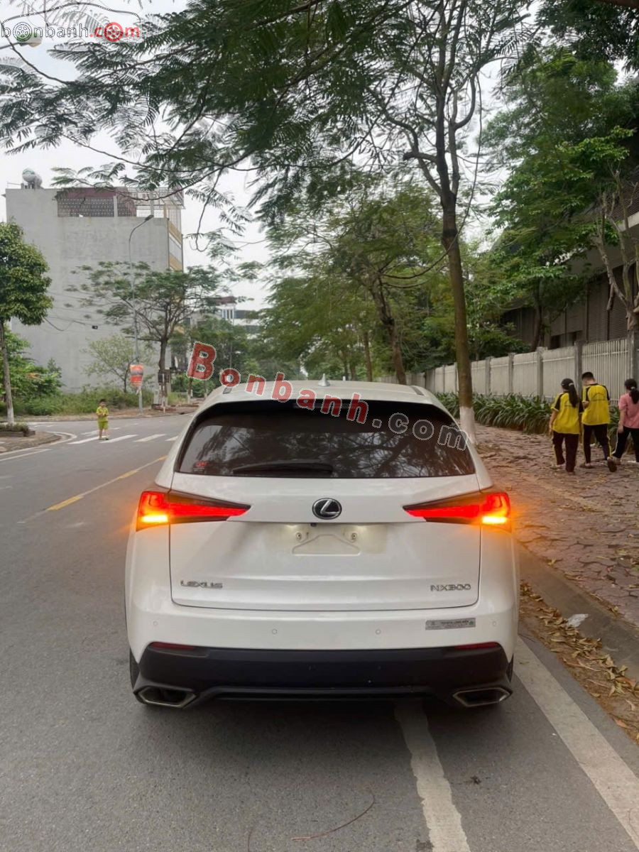 Bán ô tô Lexus NX 300 - 2019 - xe cũ