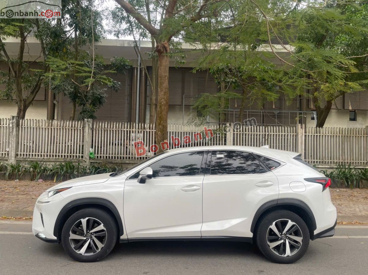 Bán ô tô Lexus NX 300 - 2019 - xe cũ