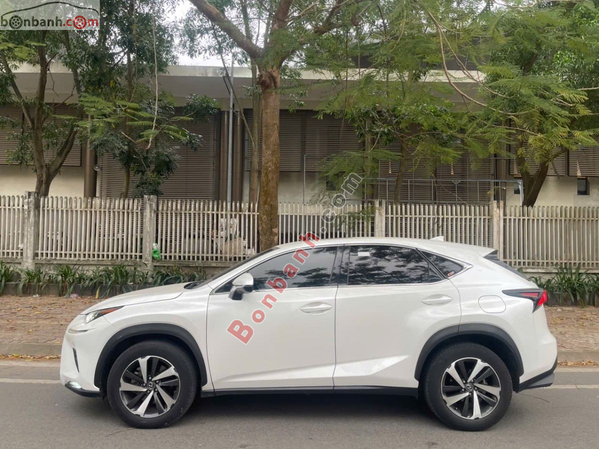 Bán ô tô Lexus NX 300 - 2019 - xe cũ